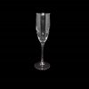 Champagne Glass 1